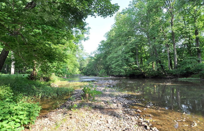 Sleepy Creek - Creekside Escape - Foto 27