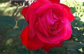 Casa di Giulia (Bambini gratis fino a 6 anni) - Foto 40