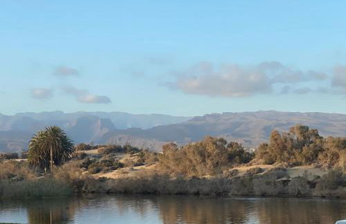 Oasis Playa Maspalomas - Foto 21