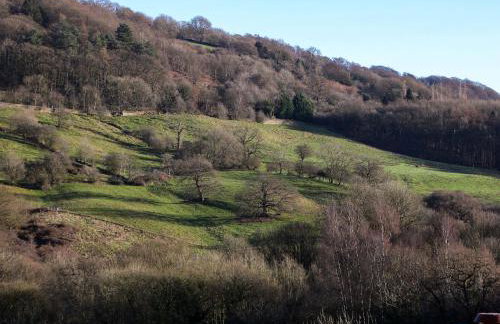 The Old Post Office - Photo 43