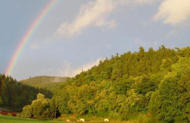 Ferienwohnungen Finke - Foto 34