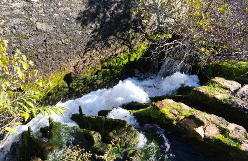 Apartmani Rudi - Foto 77