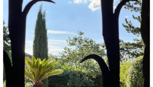 La Maison des Curieux - Foto 5