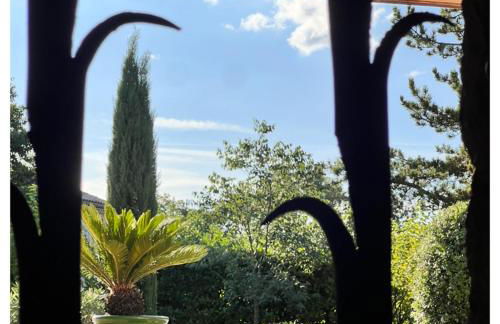 La Maison des Curieux - Foto 5