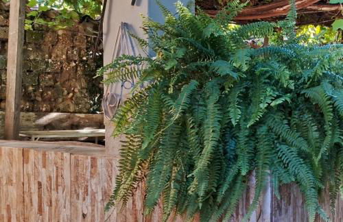 Casa por temporada - Foto 58