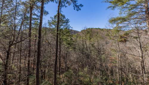 Hurricane Hideaway - Powder Horn Mountain - Foto 5