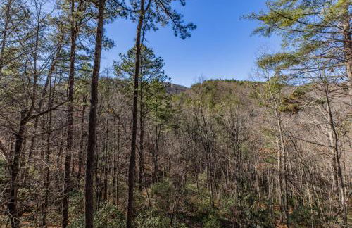 Hurricane Hideaway - Powder Horn Mountain - Foto 5