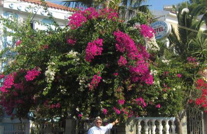 Sandalis Hotel - Foto 29