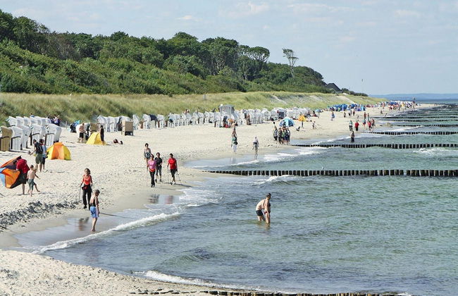 Ferienwohnung, Ribnitz-damgarten - Foto 11
