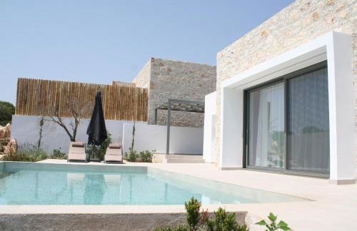 Mesogi Villas, brand new modern, stylish villas, private pool, seaviews - Photo 62