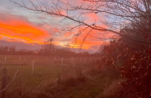 North Farm fits 1-6 people - Photo 9