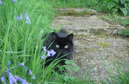 A Tranquil Retreat for Two - Foto 19