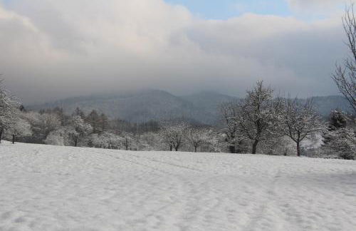 Ferienwohnungen Brack in Gaggenau - Foto 29