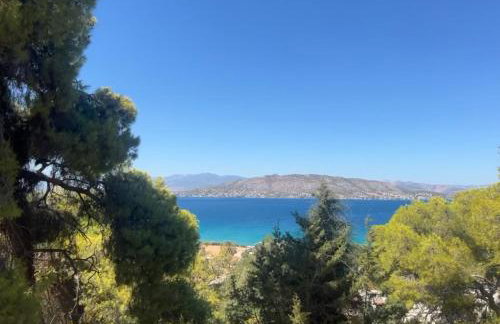 The White House - Aianteio - Foto 53