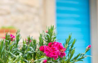 House Vera - Photo 6