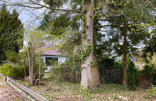 Ferienwohnung Hitzacker/Elbe - Foto 30