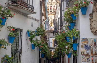 Apartamento Flor de Córdoba - Foto 23