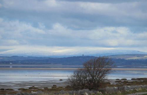 Dolphin House - Foto 6