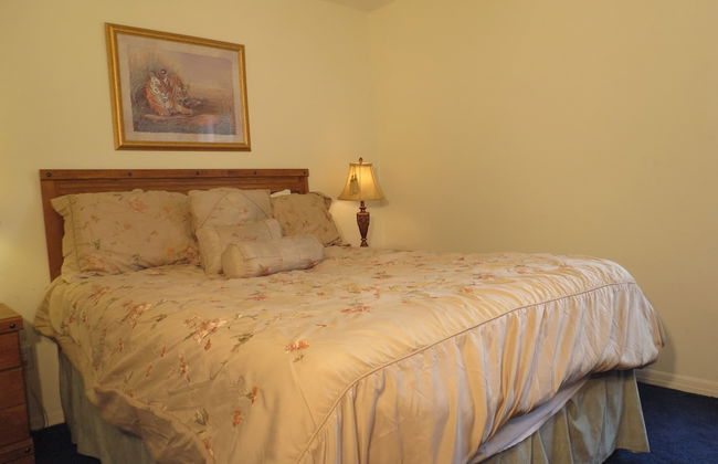 Westridge Area Pool Home - Foto 8