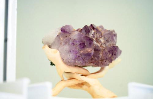 Ranch at Mesa Verde - Foto 19