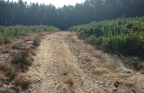 Alojamento 444 - Foto 27