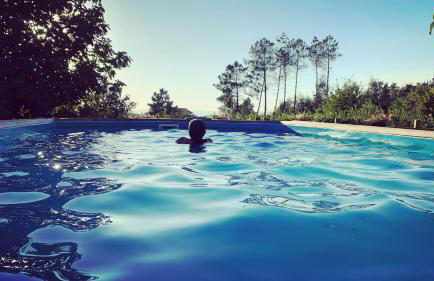 Quinta Vale Salgueiro - Foto 52