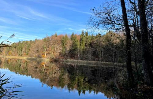 Ferienwohnung Schmied von Almertsham - Foto 48