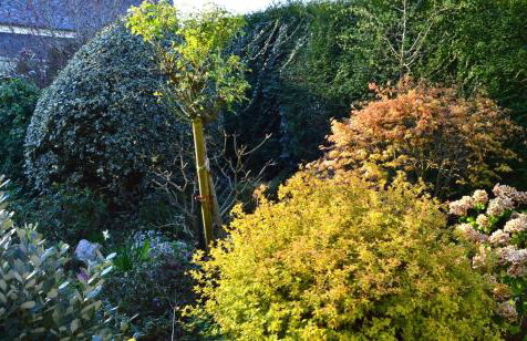 L'Orée des prés - Gîte de Charme - 3 étoiles - Foto 6