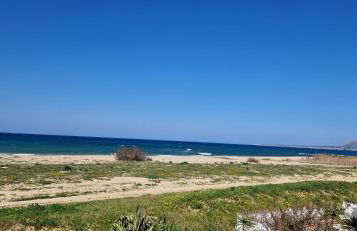 Arancina Abbronzata - Foto 15