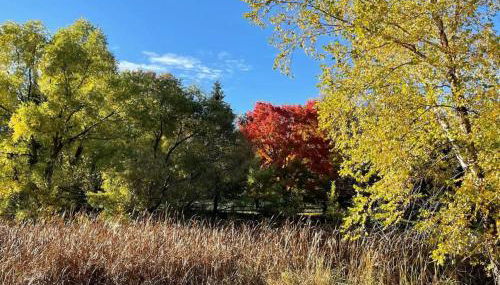 Boji Cottage off West Lake Okoboji - Foto 3