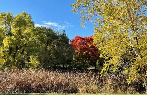 Boji Cottage off West Lake Okoboji - Foto 3