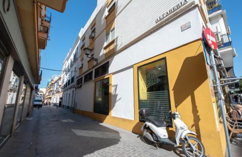 Alfareria Ocho - Foto 29