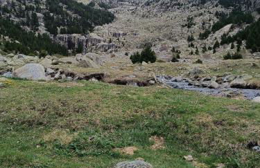 La Cabanyeta de la Vall de Boí - Foto 26