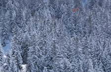 Appartement Edelweiss Chamrousse vue sur Recoin La Croix de Chamrousse Grenoble - Foto 44