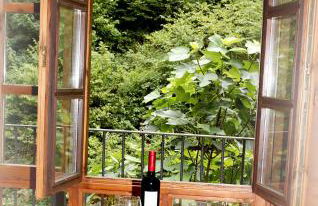 Apartamentos Aguasaliu - Foto 22