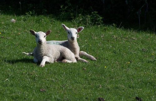 Stunning cottage nestled under the Longmynd Hills. - Foto 20
