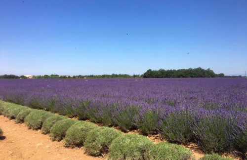 Appartement charmant à Sainte Croix du Verdon avec terrasse - Foto 14