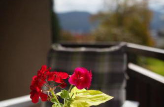 Fewo Schneckenhalde App 12 - Photo 9