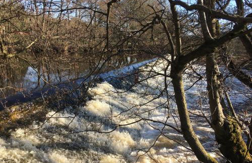 Old Stone Cottage - Foto 23