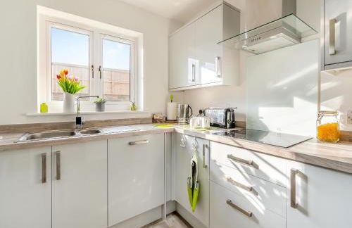 Blue Skies - Photo 9