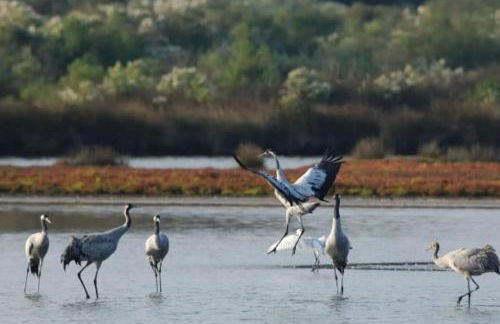 Le Cabanon du Marché - Foto 27