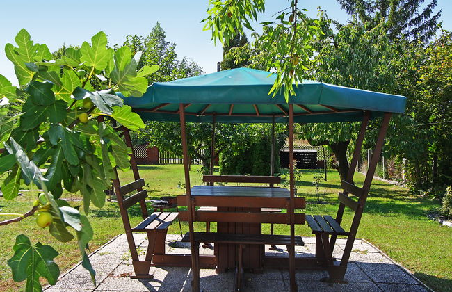 Grand Jardin - Foto 3