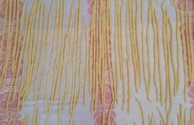 Borgo Santa Lucia - Photo 54