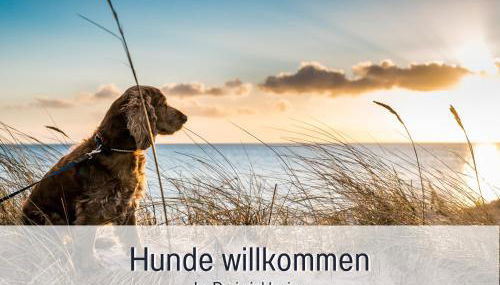RamosHansenHof Fewo Nordlicht 6 Personen Hund inklusiv - Foto 3, pet friendly