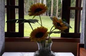 Encanto da Pedra - Photo 14