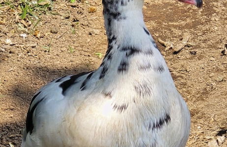 Almore Hotel - Foto 48