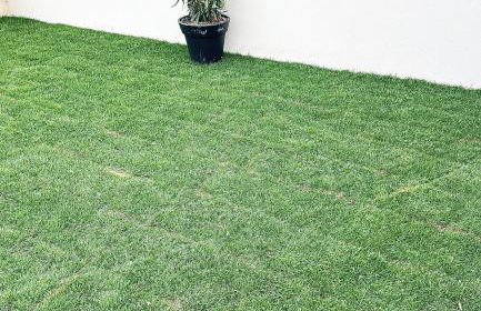 Le Cabanon Meublé de Tourisme trois étoiles - Foto 28