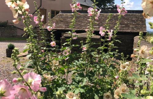 2 Bed in Chepstow 95046 - Foto 28