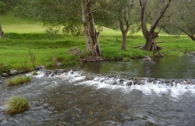 Christmas Creek Cafe & Cabins - Foto 43