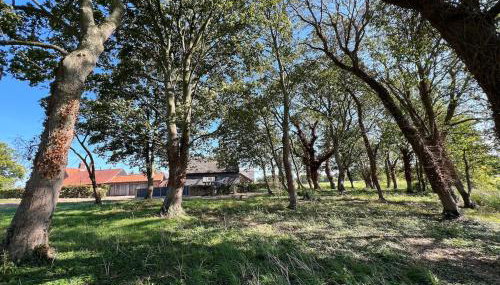 New Luxury barn with pool table nr southwold - Foto 3